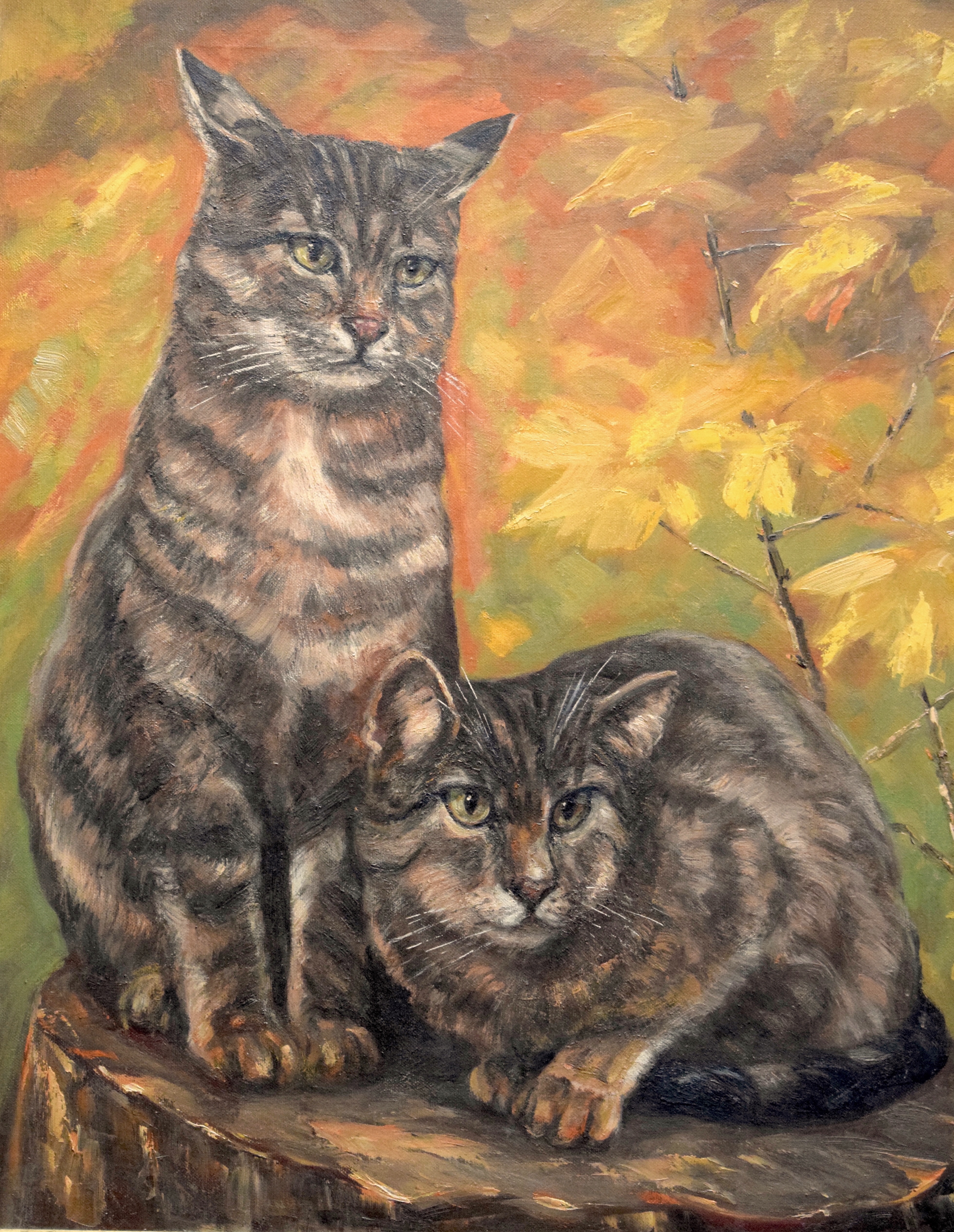 Weber ÖL Katzen