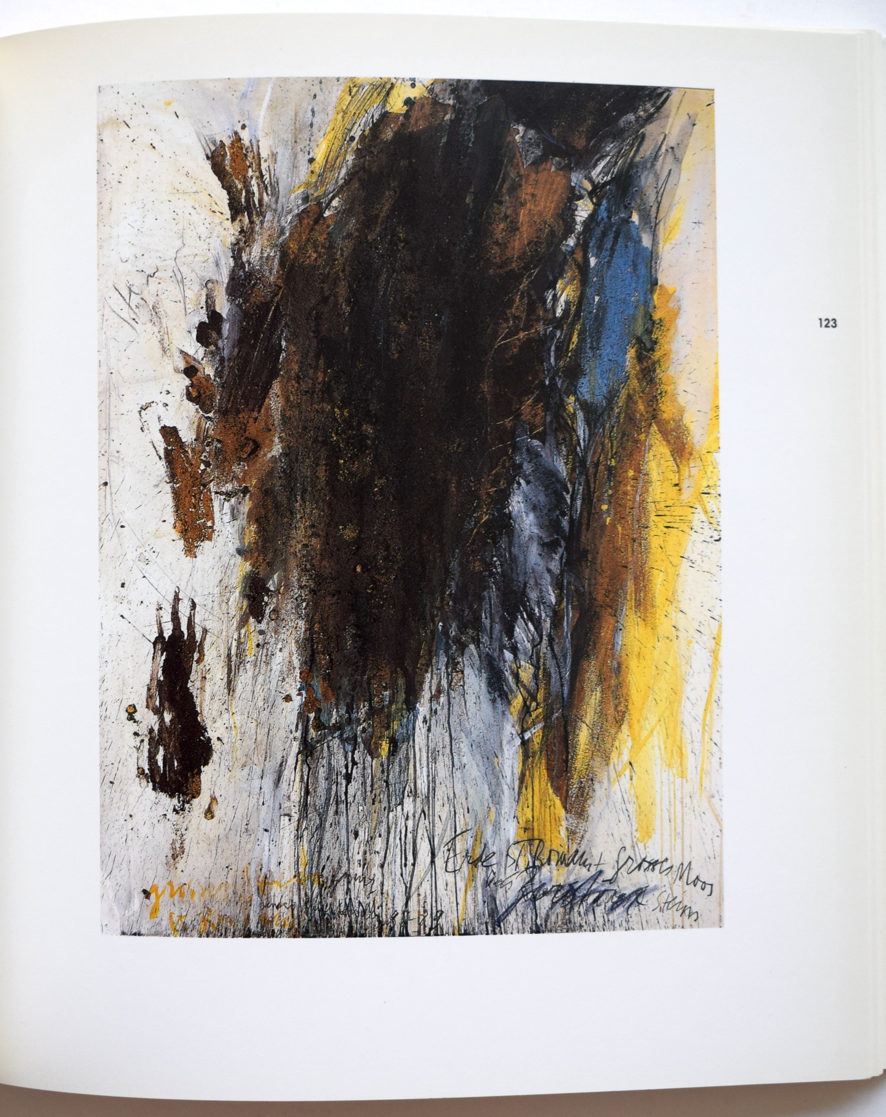 ROLF ISELI BUCH PINACOTECA